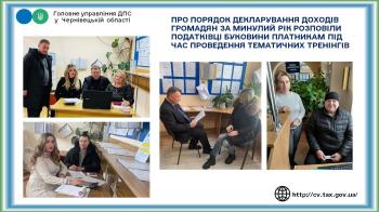 Про порядок декларування доходів громадян за минулий рік розповіли податківці Буковини платникам під час проведення тематичних тренінгів