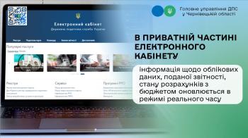 В приватній частині Електронного кабінету інформація щодо облікових даних, поданої звітності, стану розрахунків з бюджетом оновлюється в режимі реального часу